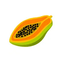 Papaya | High Energy Fruits Names