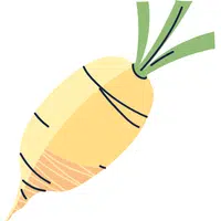 Parsnip | A to Z Vegetables Names
