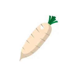 Parsnip | Temperate Vegetables Names in English