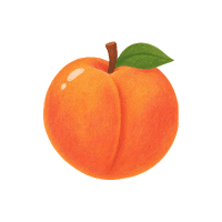 Peach | Sugar Free Fruits Names