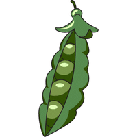 Peas | A to Z Vegetables Names