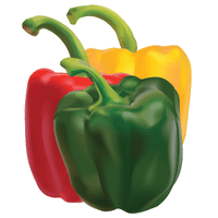 Peppers | A to Z Vegetables Names