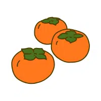Persimmon | High Energy Fruits Names