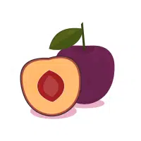 Plum | High Energy Fruits Names