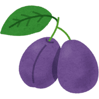Plum | A to Z Fruits Name