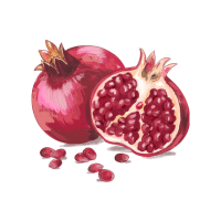 Pomegranate