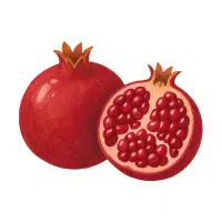 Pomegranate | High Energy Fruits Names