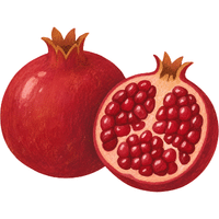 Pomegranate | A to Z Fruits Name