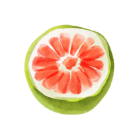 Pomelo | Seeded Fruits Names