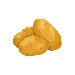 Potato | Temperate Vegetables Names in English