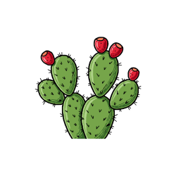 Prickly Pear | Desert Vegetables Names in English