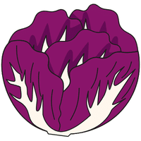 Purple Cabbage | A to Z Vegetables Names