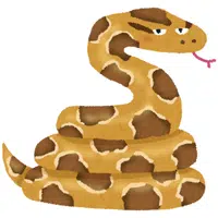 Python | A to Z Animals Name