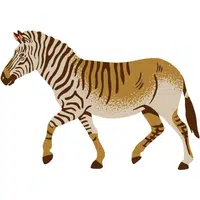 Quagga | A to Z Animals Name