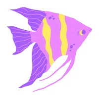 Queen Angelfish | A to Z Animals Name