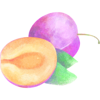 Queen Rosa Plum | A to Z Fruits Name