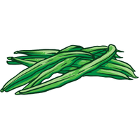 Queensland Bean | A to Z Vegetables Names