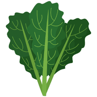 Queensland Spinach | A to Z Vegetables Names