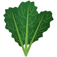 Queensland Spinach | A to Z Vegetables Names