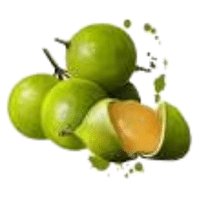 Quenepa | A to Z Fruits Name