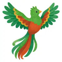 Quetzal | A to Z Animals Name