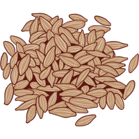 Quinoa Leaves | A to Z Vegetables Names