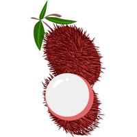 Rambutan | A to Z Fruits Name