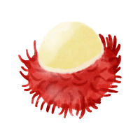 Rambutan | Low Calorie Fruits Names