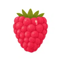 Raspberry | High Energy Fruits Names