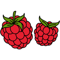 Raspberry | A to Z Fruits Name