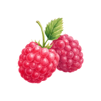 Raspberry | Low Calorie Fruits Names