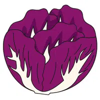Red Cabbage | A to Z Vegetables Names