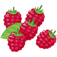 Red Mulberry | A to Z Fruits Name