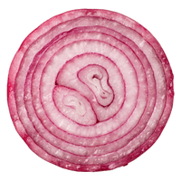 Red Onion | A to Z Vegetables Names