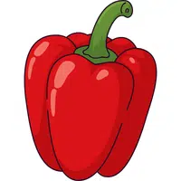 Red Pepper | A to Z Vegetables Names