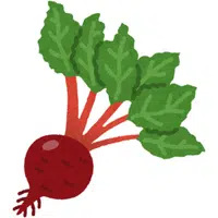 Rhubarb | A to Z Vegetables Names