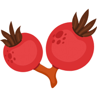 Rose Hip | A to Z Fruits Name