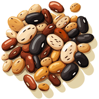 Runner Beans | A to Z Vegetables Names