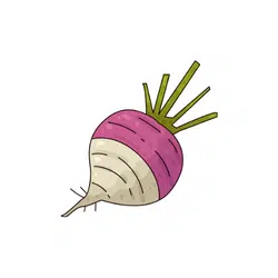 Rutabaga