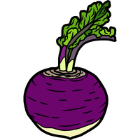 Rutabaga | A to Z Vegetables Names
