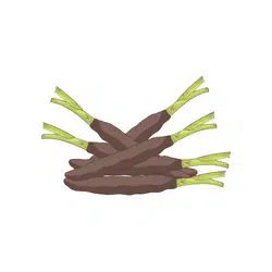 Salsify | Temperate Vegetables Names in English