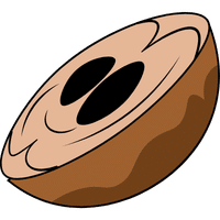 Sapodilla | A to Z Fruits Name