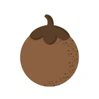 Sapodilla | High Energy Fruits Names