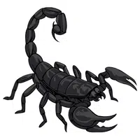 Scorpion | A to Z Animals Name