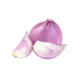 Shallot | Temperate Vegetables Names in English