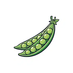 Snow Pea | Temperate Vegetables Names in English