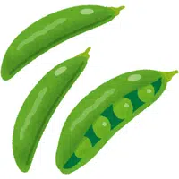 Snow Peas | A to Z Vegetables Names