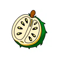 Soursop | High Energy Fruits Names