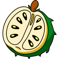 Soursop | A to Z Fruits Name