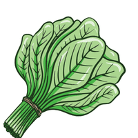 Spinach | A to Z Vegetables Names